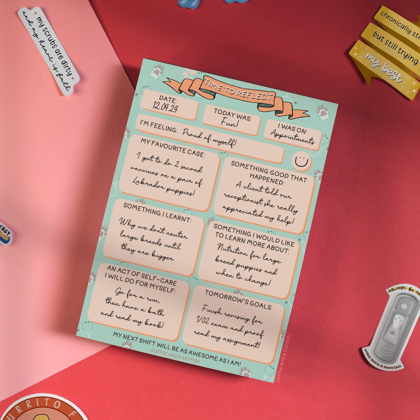 'Time to Reflect' A5 Veterinary Notepad image 3