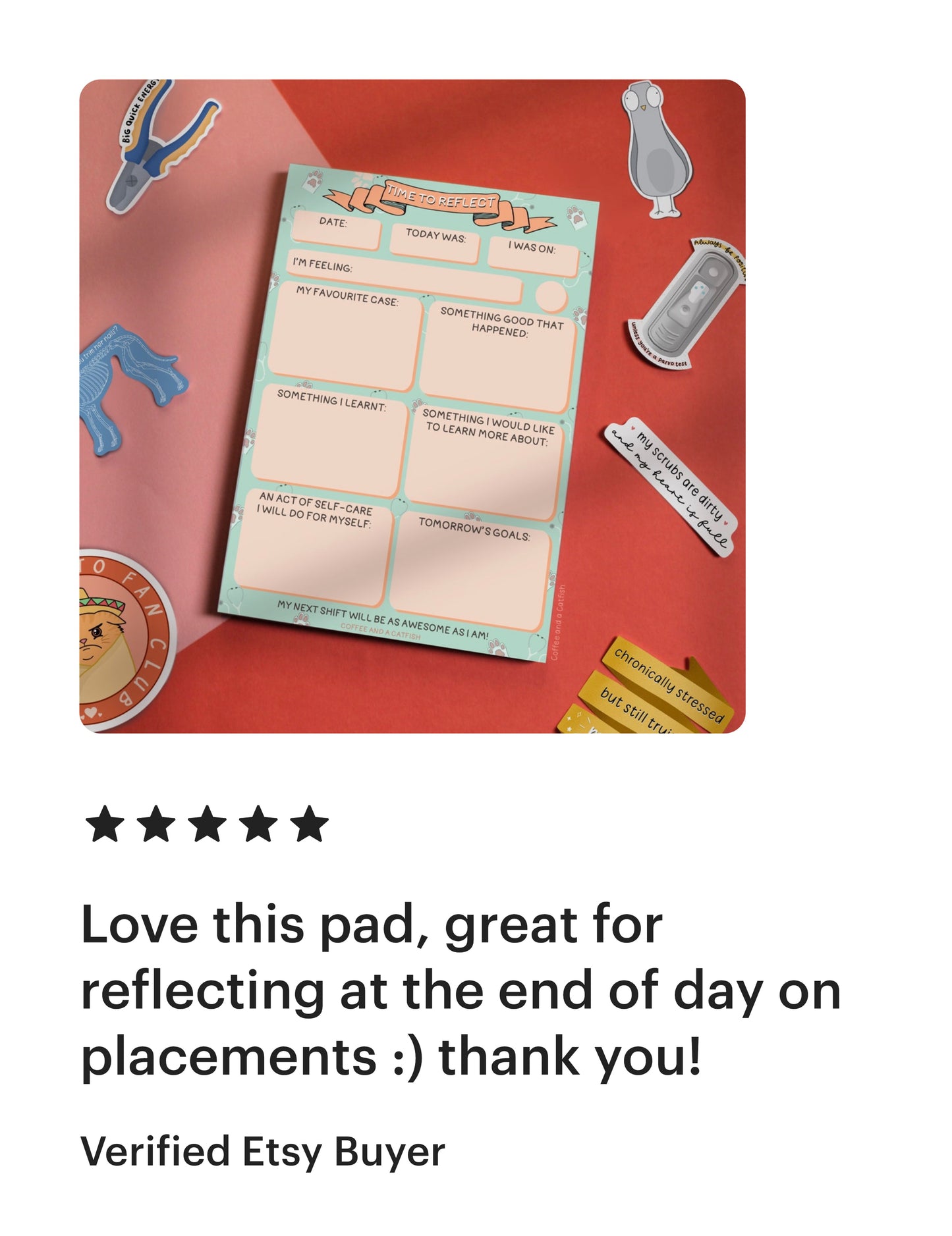 'Time to Reflect' A5 Veterinary Notepad image 7