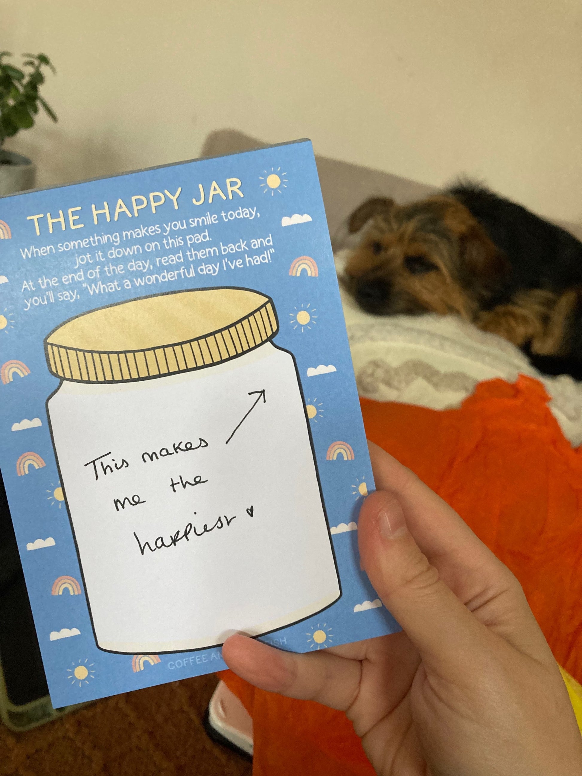 'Happy Post' Letterbox Gift image 8