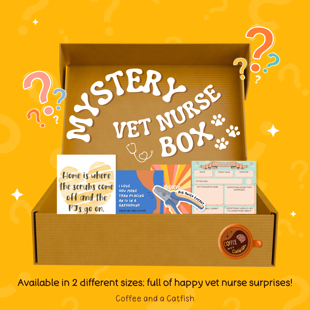 Vet Nurse Mystery Gift Box | Vet Nurse Surprise Bundle image 0