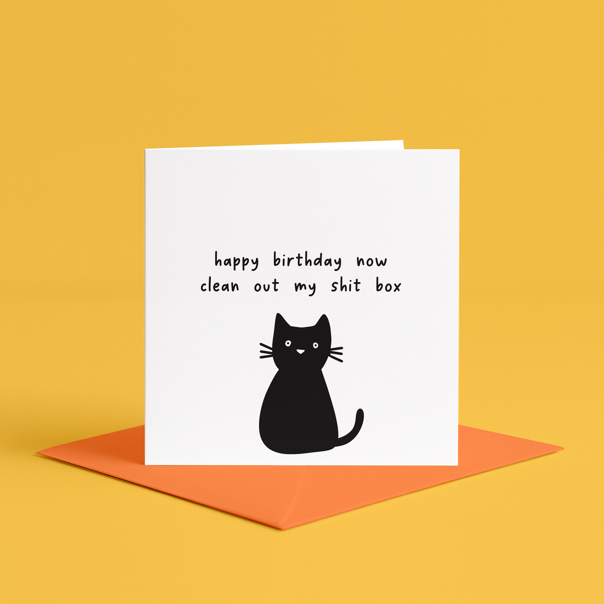Funny Sweary Cat Lover Birthday Card, Funny Cat Birthday Card, Card for Cat Lover, Sweary Birthday Cards, Funny Birthday Card for Cat Owner, Funny cat birthday card, Black cat birthday card, Cat lover birthday card, funny card for cat dads birthday, Black cat greeting card, Humorous birthday card with cat, Clean my shit box card, Cat themed funny birthday card,  Cat themed birthday joke, Cat birthday card for her for him, for cat lover, cat owner sweary birthday card, funny sweary cat birthday