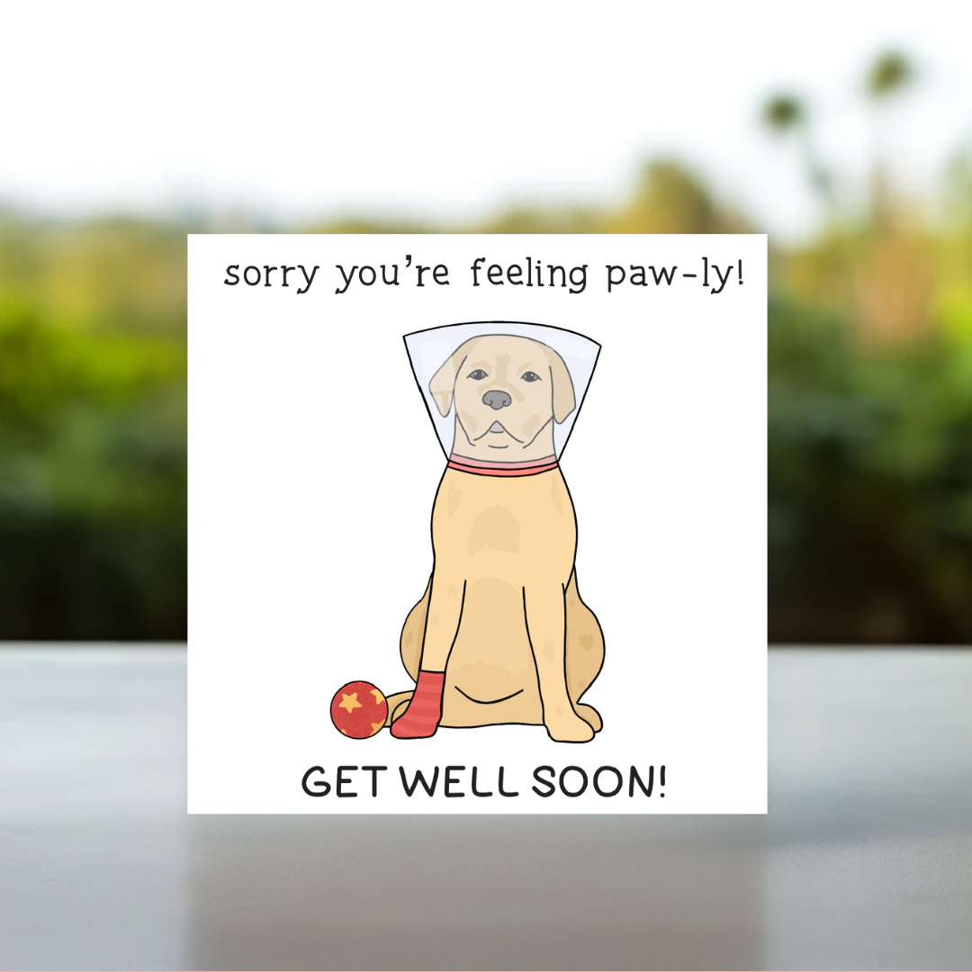 Funny Get Well Card: Dog Cone Humor, Feel Better Soon, from the dog, Make Sure You Take It Nice And Knee-sy - Funny Get Well Soon Card - Knee Operation Card - Personalised get well asap Card, Get Well Soon Card, Speedy Recovery Card, Get Well Soon Card For Friend, Boyfriend Get Well Soon, Feel Better Card, Kids Get Well Card