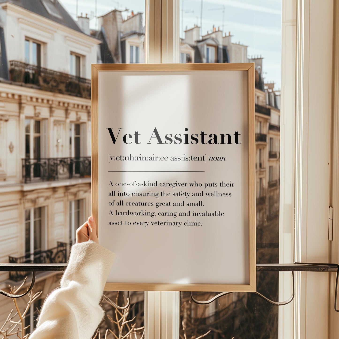 Vet Assistant Definition Print | Veterinary Assistant Print, Vet Assistant Gift, VCA gift, Veterinary Care Assistant Gift, VNA vetmed Gift