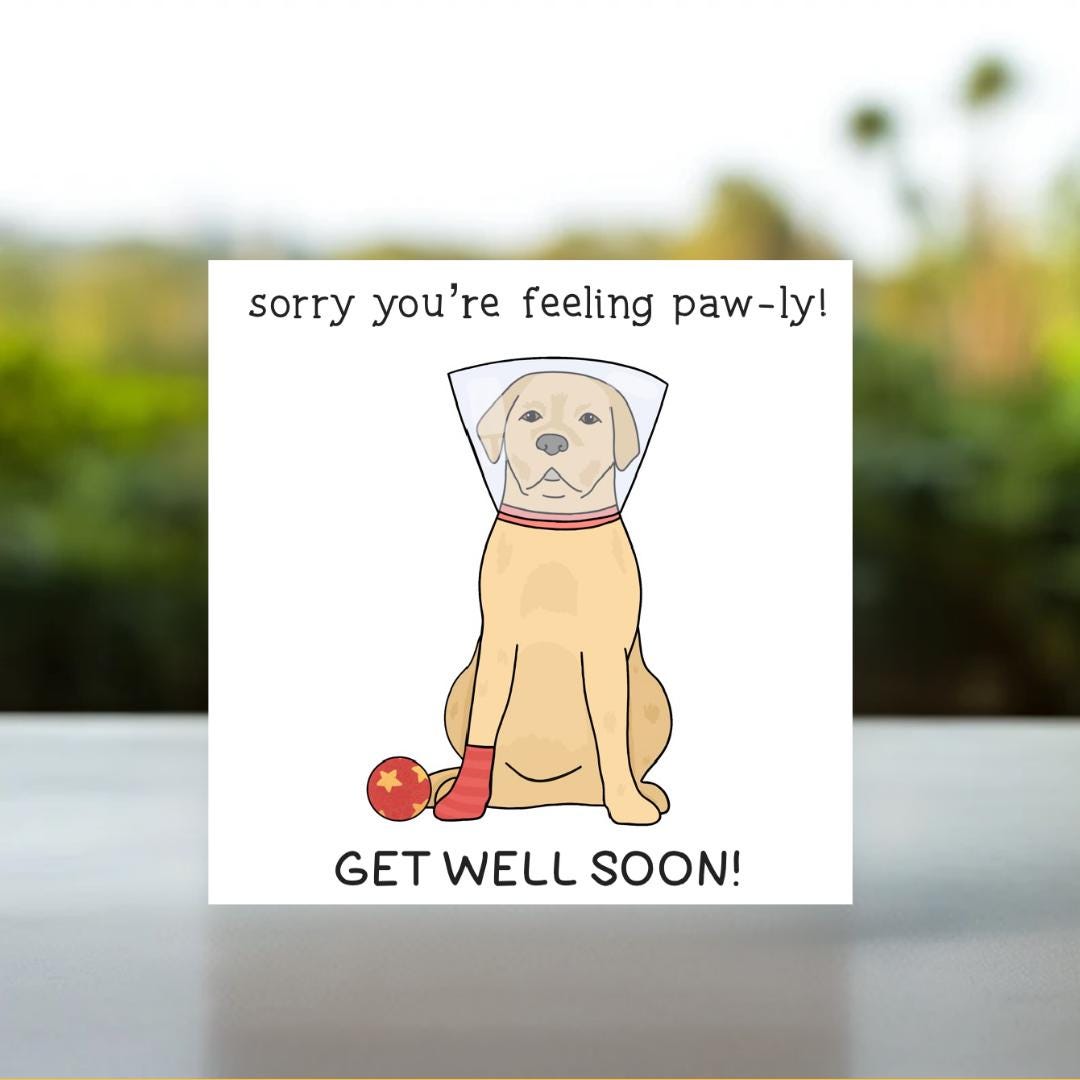 Feeling Pawly Card | Get Well Soon Card, Cone of Shame Card, Feel Better Soon Card, Thinking Of You, Post Op Recovery Card, Surgery Get Well