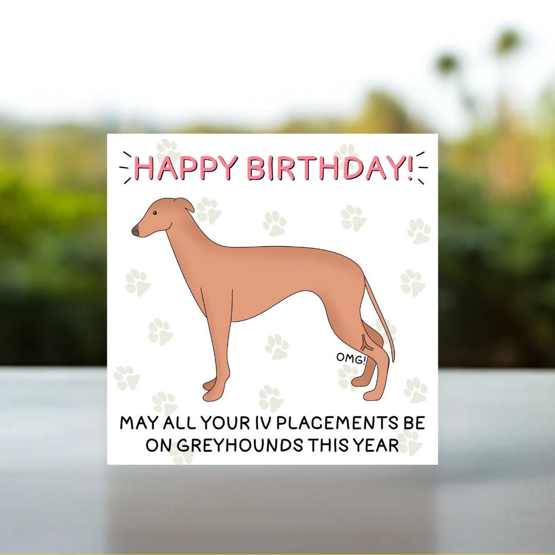 Greyhound IV Birthday Card | Veterinary Birthday Card, Vet Nurse Birthday Card, Vet Tech Birthday Card, DVM Birthday, Funny Vet Med Card